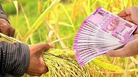 Akola farmers crop Banks loans