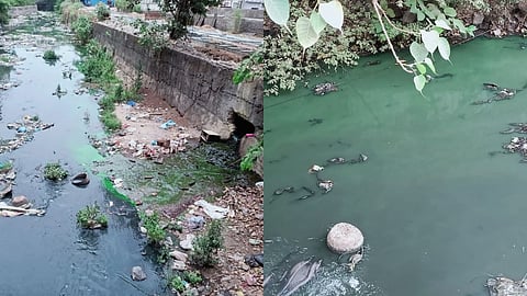 mumbai rain update Chemical water from Badlapur MIDC area directly into Ulhas river donbivali