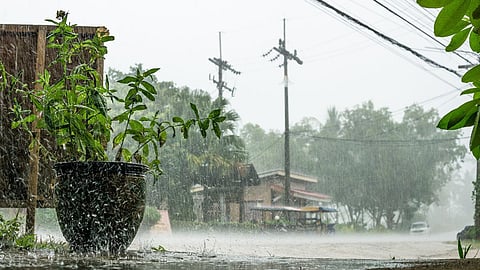 Maharashtra Monsoon