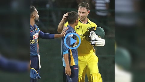 Glenn Maxwell Sportsmanship Video Viral