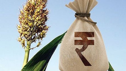 54 to 78 percent crop loans to farmers in maharashtra agriculture department nashik