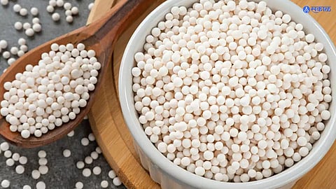 Sabudana latest marathi news