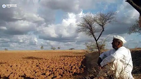 Akola Farmers waiting for heavy rains