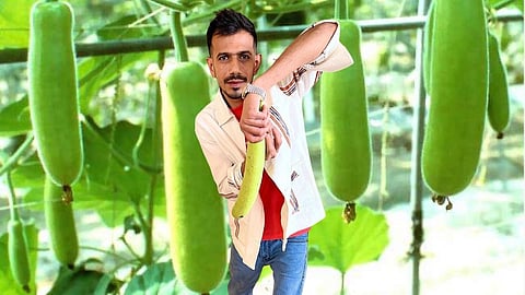 yuvraj singh comment yuzvendra chahal photo lauki