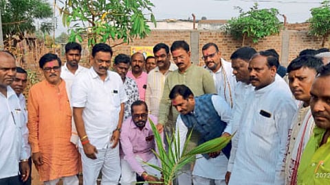 Tree planting MP Pratap Patil Chikhlikar