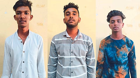 bike thieves arrested