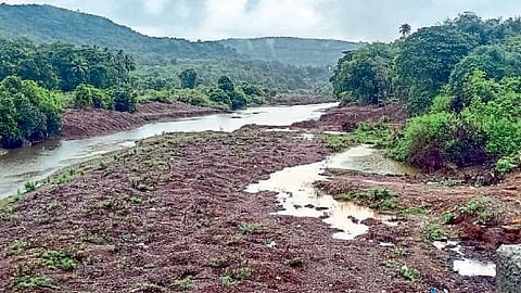 काजळी नदी गाळाने भरून गेली आहे