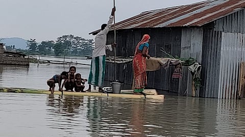assam flood 8 more deaths over 31 lakh people affected heavy rain