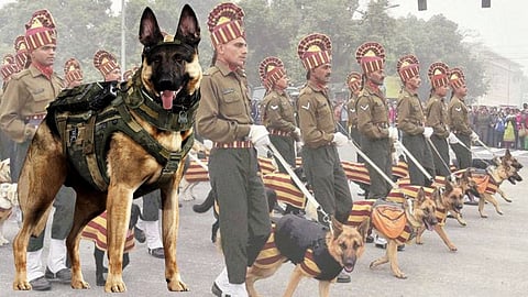 Indian army Dog Squad