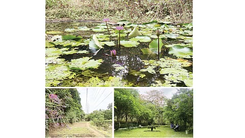 Agro Garden Mumbai