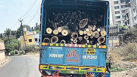 truck containing Cutting Trees