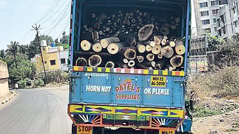 this was the seized truck containing Cutting Trees