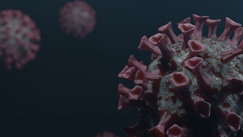 225 corona infected patients were found Today in Pimpri