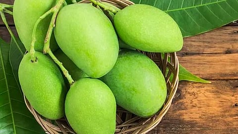 गावरान कैरी