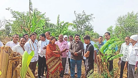 नुकसानीचे पंचनामे त्वरित पूर्ण करा : खासदार रक्षा खडसे
