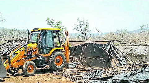 Encroachment removal campaign in wildlife area