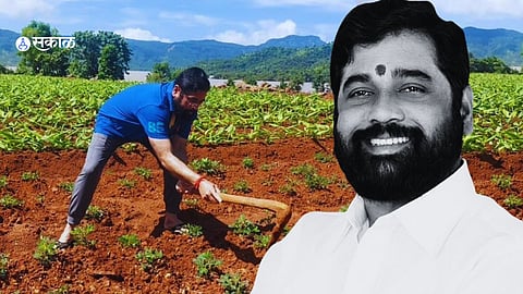 eknath shinde is the only chief minister who works in his farm