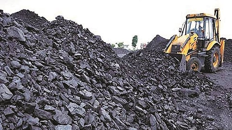 coal india limited