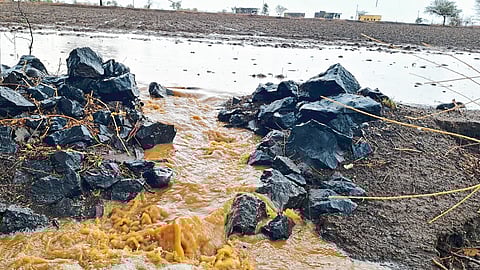 Agricultural Dams Destroyed due to monsoon