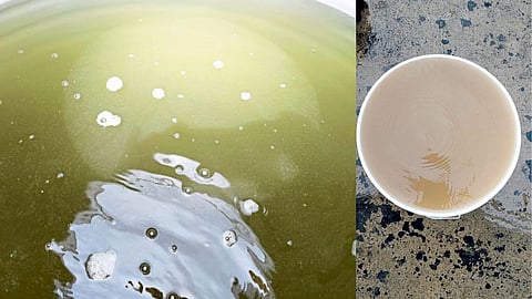 Contaminated water supply