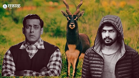 Salman Khan Lawrence Bishnoi's radar