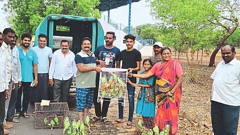 100 plus Parrots resued