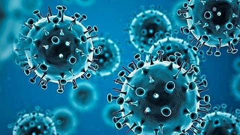 Coronavirus in India | Covid Patient Updates in India