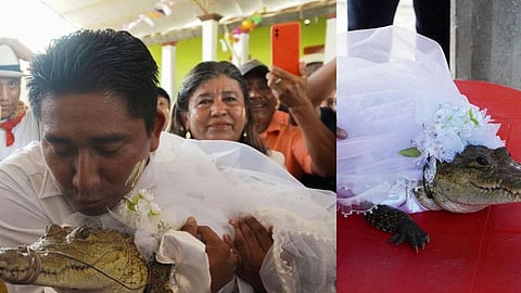 A Mexico mayor married to alligator