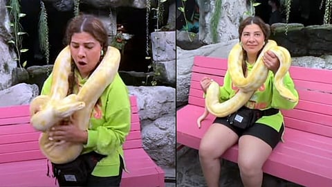 Sambhavna Seth python in neck video viral about to get bitten