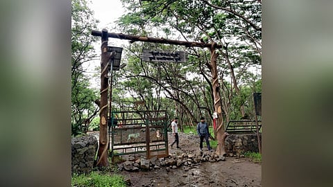 वन्यजीवांसह नागरिकांना धोका. Nuisance of vagrants on Vetal Hill