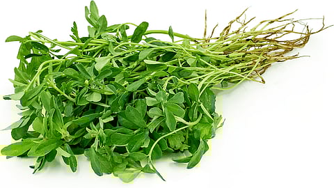 Methi
