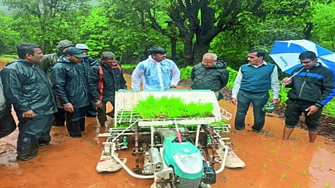 Mechanized paddy cultivation IN javali satara