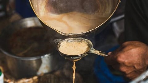 chaha patti