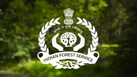 Nandurbar forest department