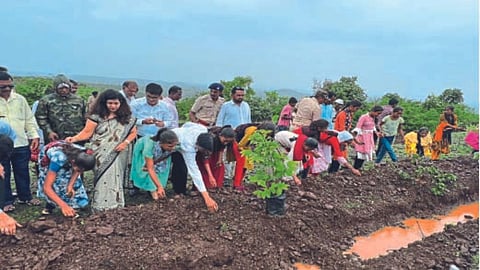 Seedball planting in Ganganbeed area nanded