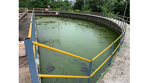 Sewage Plant Dapodi