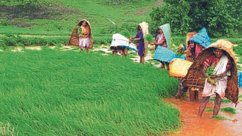 Eight inches of rain in Ghatghar area