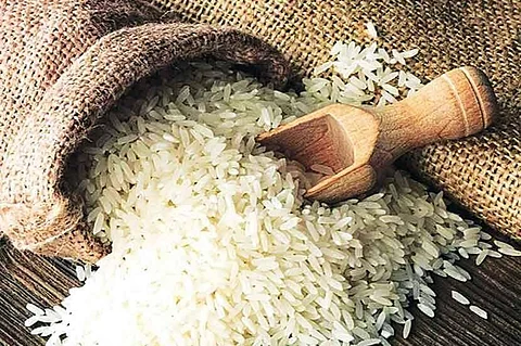 Plastic Rice
