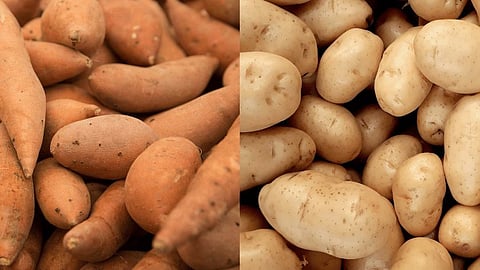 Potatoes and Sweet potatoes