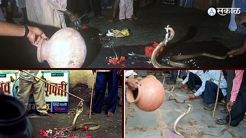 Nag Panchami in Battis Shirala Village