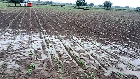 Jalna Ghansawangi heavy rain farmer crop damage