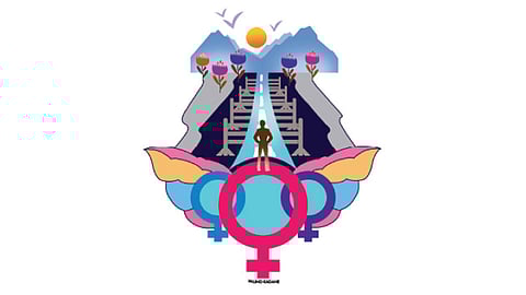 उजेडाचा मार्ग...