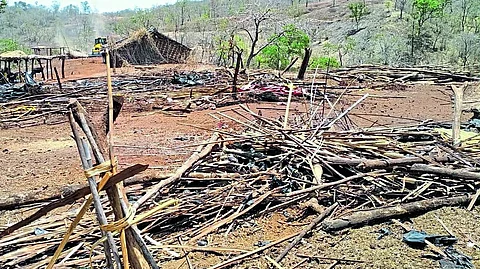 yaval sanctuary encroachment removed