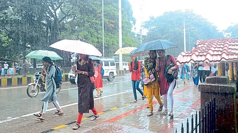 rain
