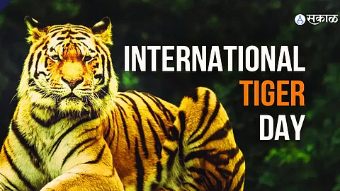 International Tigers Day