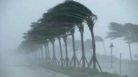 Mumbai Rain Live Updates | Rain in Mumbai