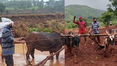 CM Eknath Sambhaji Shinde