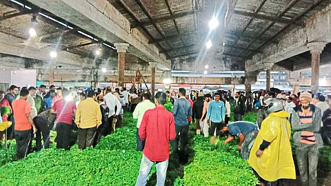 Market committee Latest News