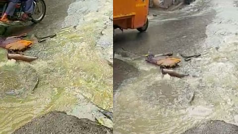 drainage water on road