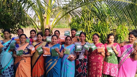 Self-help group was transformed into Women Farmers Producers Company In Zendewadi